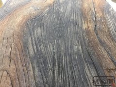 午夜黄色视频免费观看水泥仿木紋