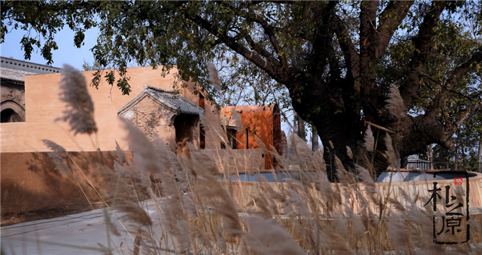 午夜福利大片牆民宿：傳統工藝與現代舒適的融洽