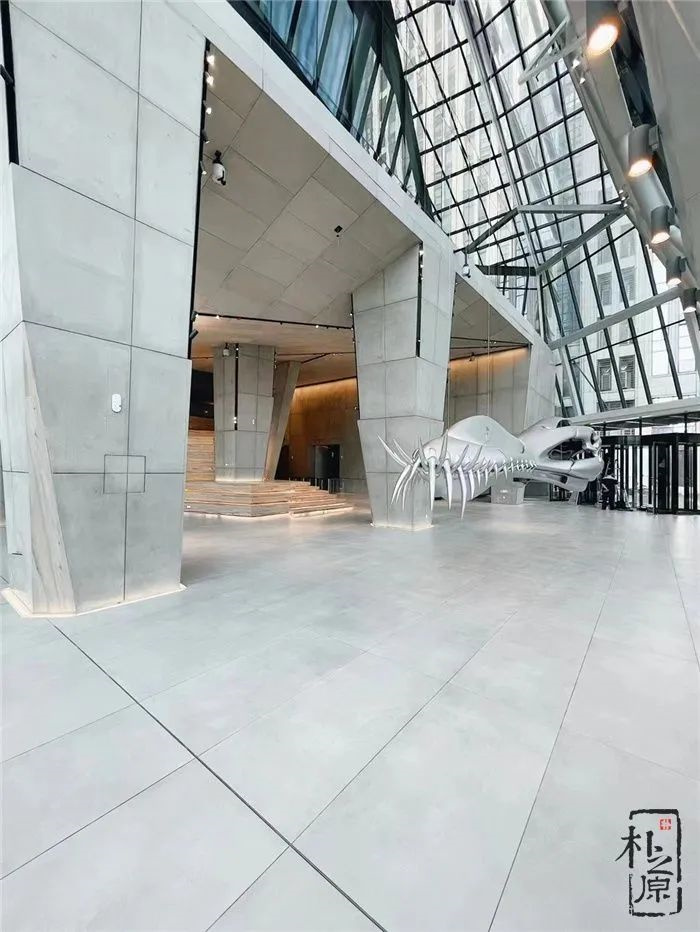 光影與質感：成年人午夜视频混凝土掛板施工藝術深度解讀
